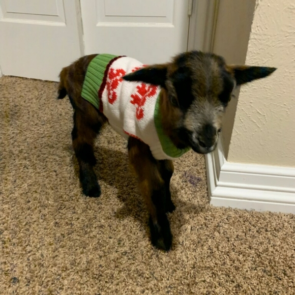 Hi! I'm Beth! Welcome! Bienvenidos! - Picture 9 of 11